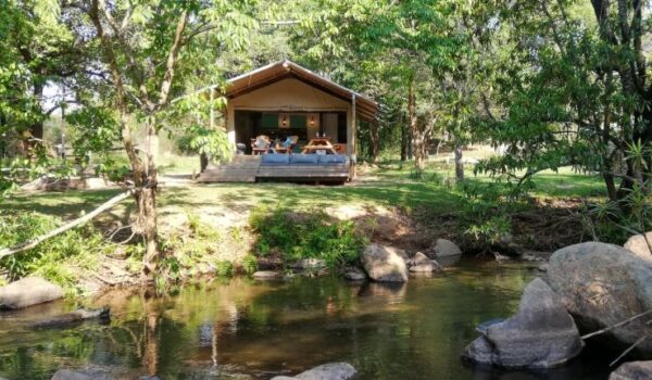 africamps at mackers hazyview glamping south africa