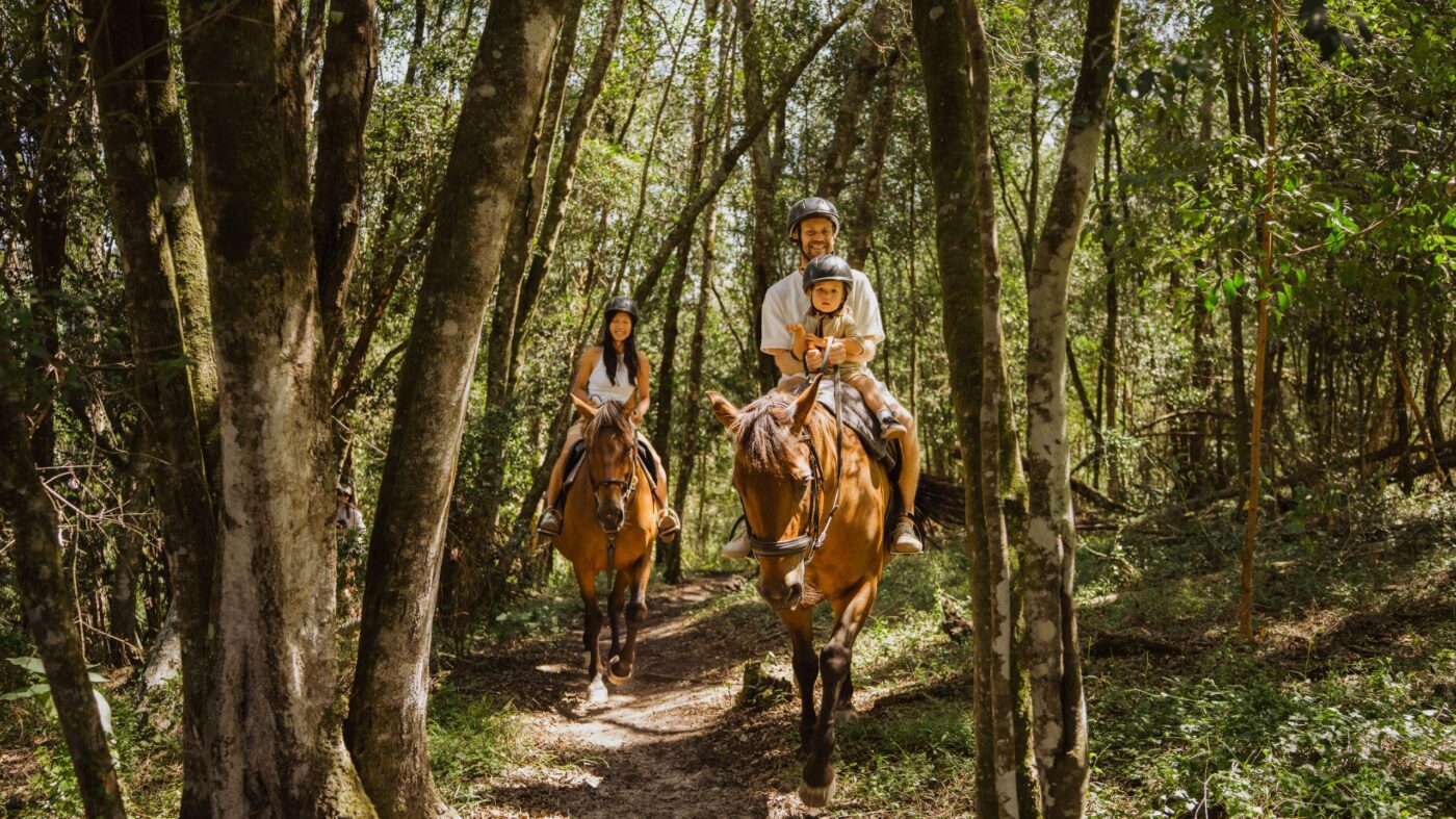 horseriding at africamps at oakhurst wilderness glamping south africa