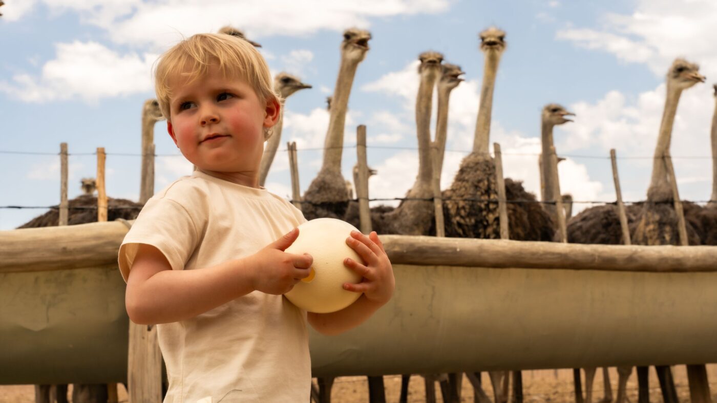 africamps klein karoo oudtshoorn glamping tent