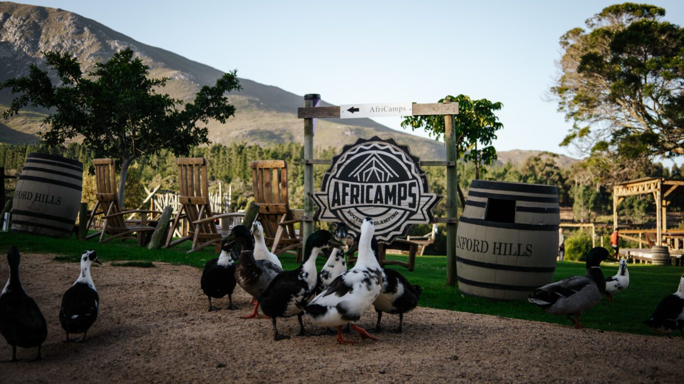 africamps stanford hills glamping south africa