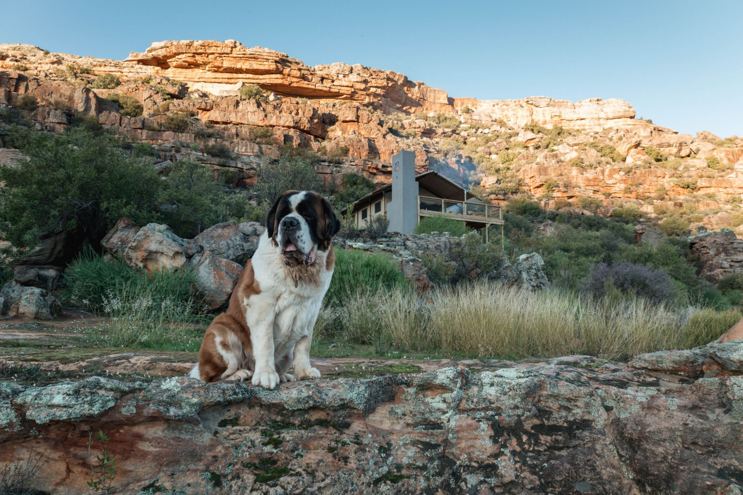 africamps at de pakhuys cederberg boutique glamping south africa