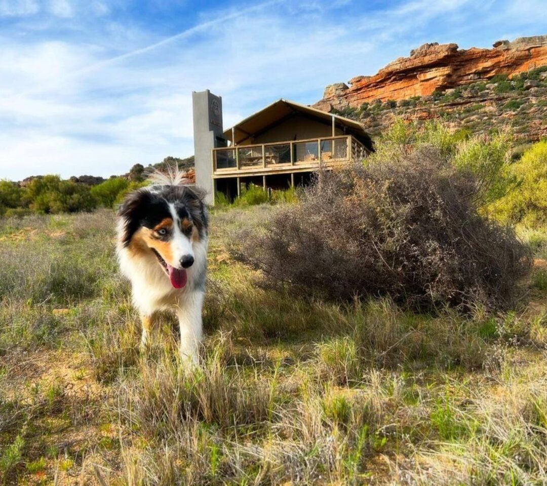 africamps at de pakhuys cederberg boutique glamping south africa