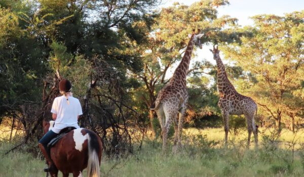africamps waterberg limpopo boutique glamping south africa