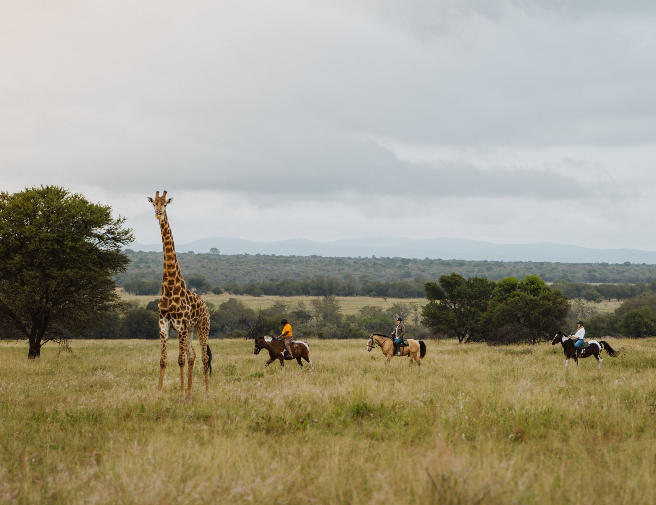 africamps waterberg limpopo glamping south africa horseback safari