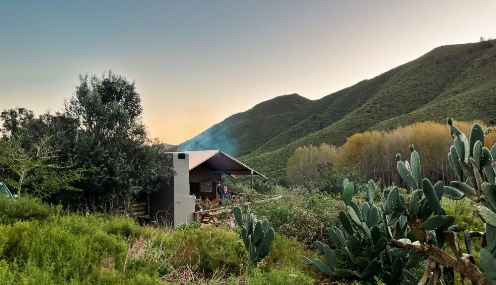africamps at pat busch, robertson, boutique glamping south africa