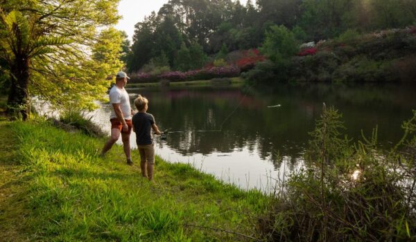africamps magoebaskloof, limpopo, boutique glamping south africa