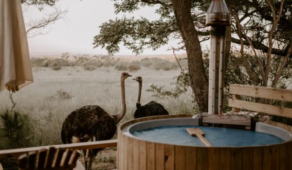 africamps waterberg, limpopo, boutique glamping south africa