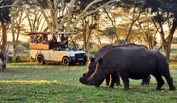 africamps at bonamanzi game reserve hluhluwe