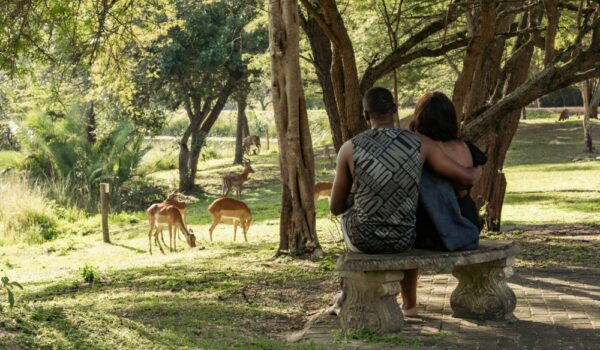 africamps at bonamanzi game reserve hluhluwe
