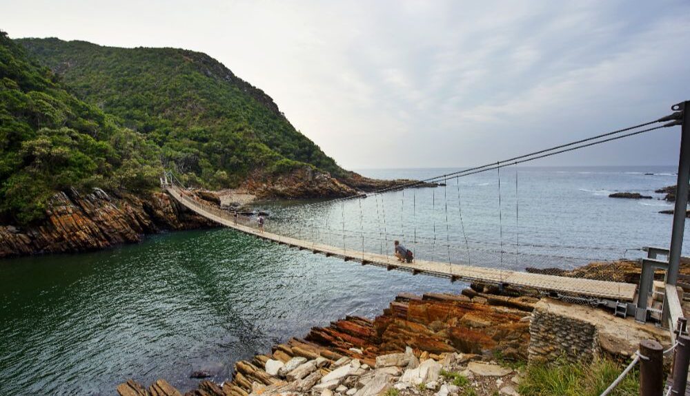 heritage month south africa africamps at ingwe plettenberg bay garden route