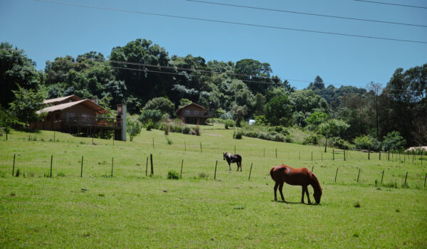 africamps at gowan valley the midlands glamping kwazulu-natal