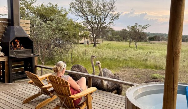 africamps waterberg limpopo glamping south africa