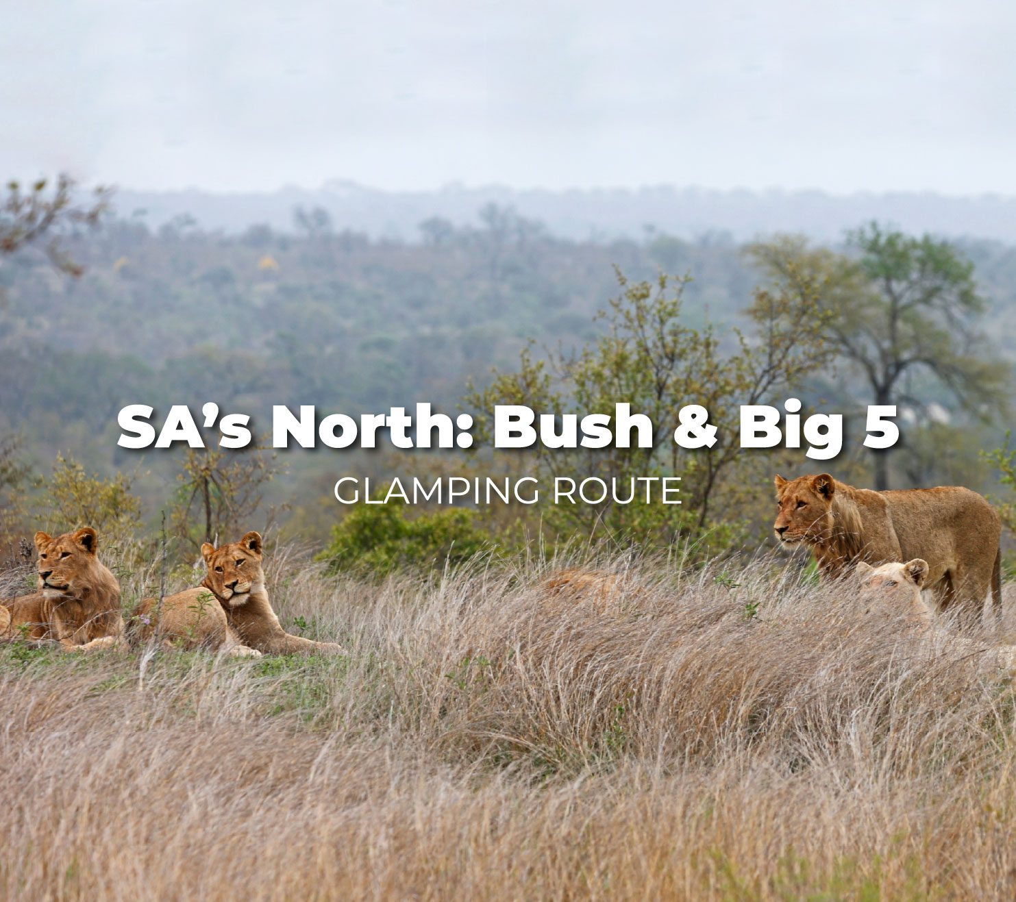 south africa glamping route africamps