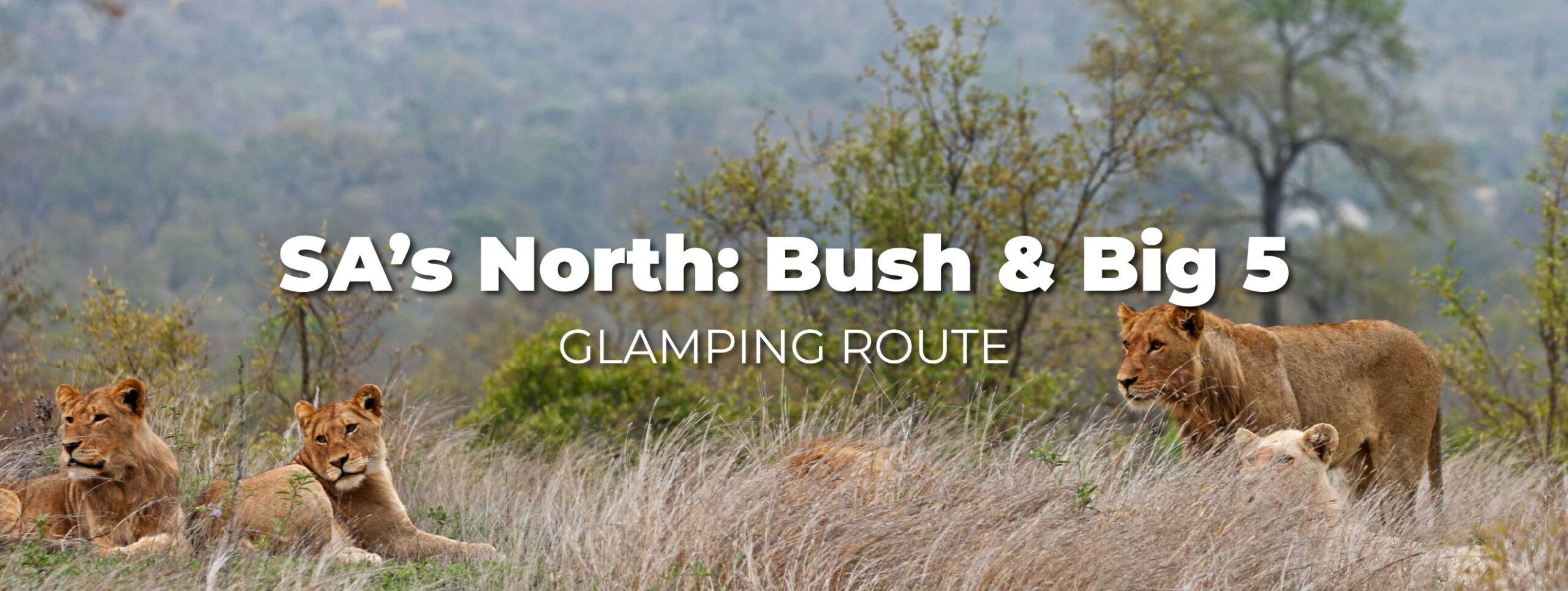 south africa glamping route africamps