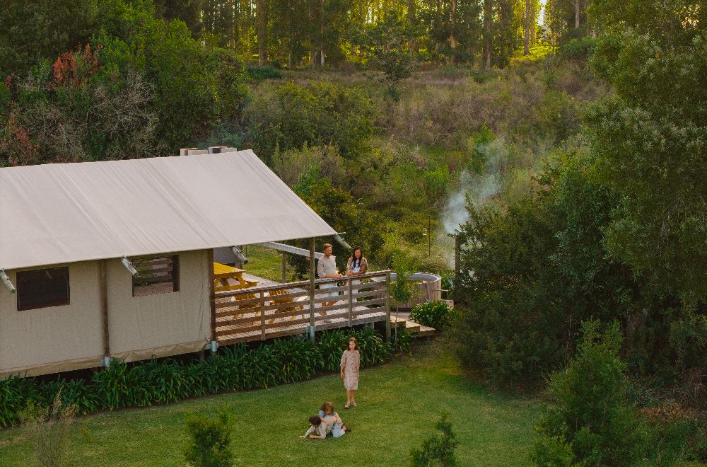 africamps at oakhurst wilderness glamping garden route south africa