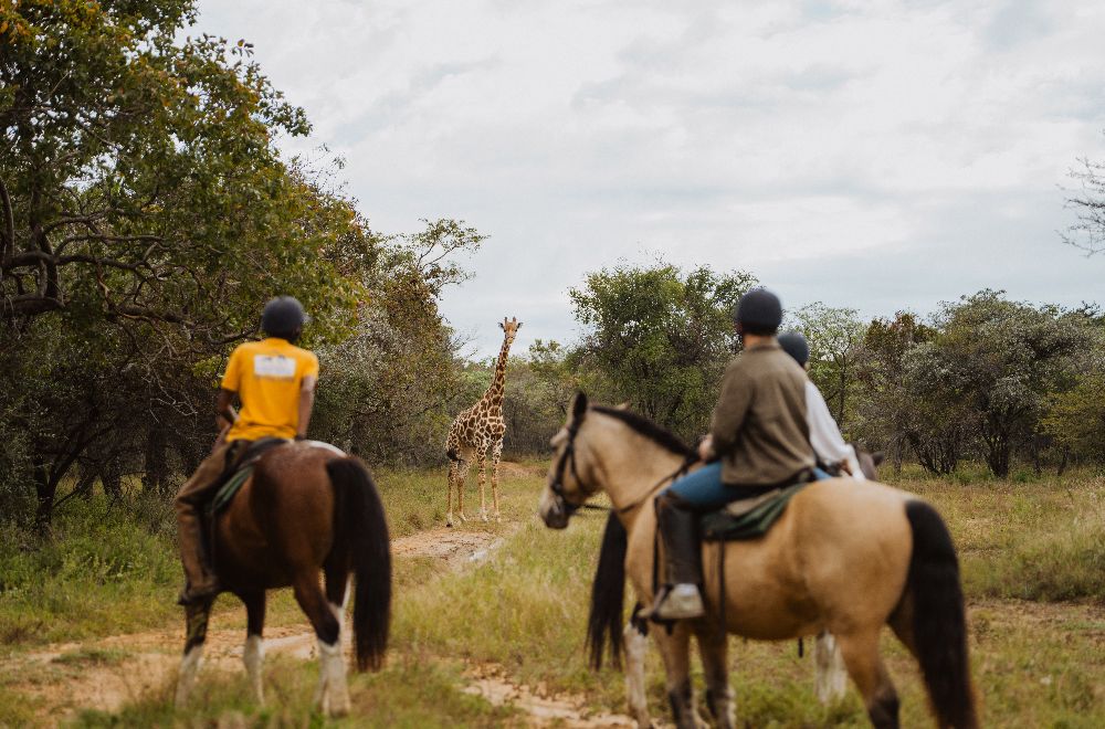 africamps waterberg glamping south africa