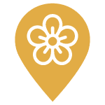 flower locations