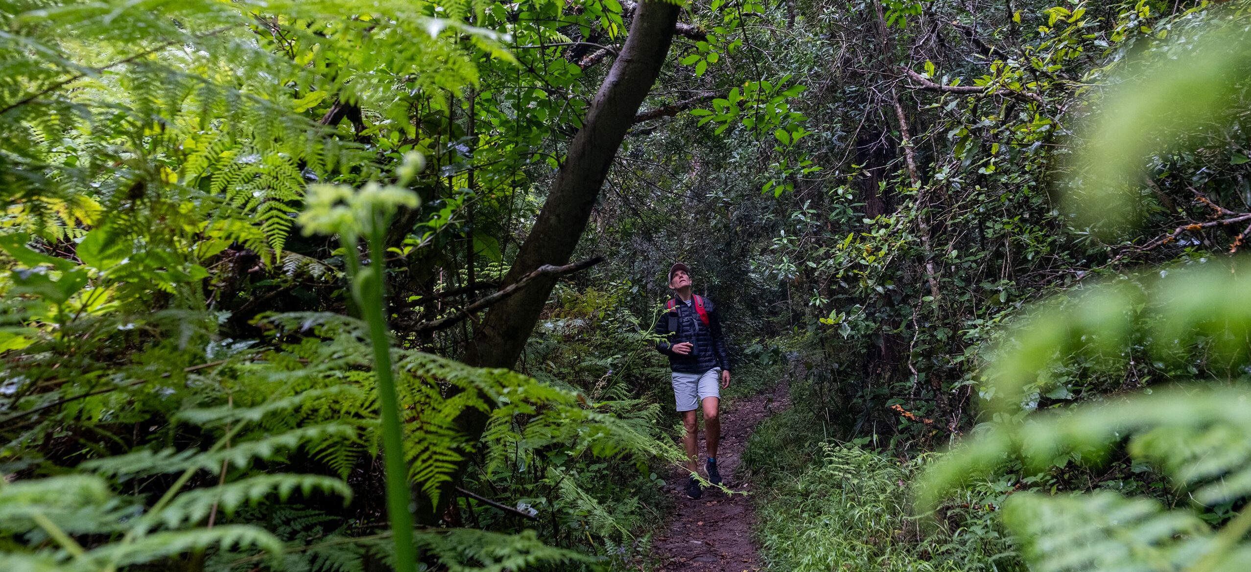 hiking trail stay at africamps at oakhurst